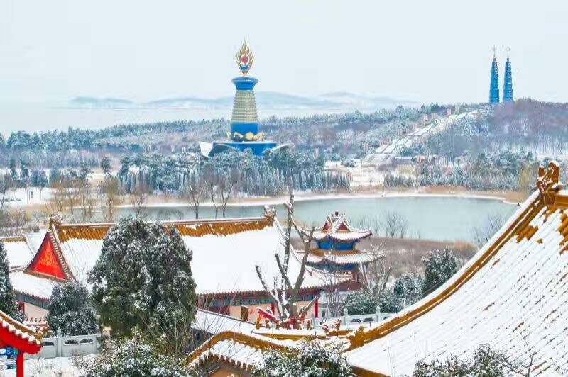 瑞雪迎春︱大乳山冬雪不掩春色韵~